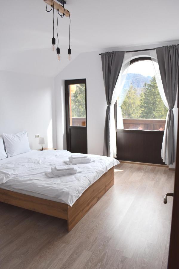 Cosy&Minimalistic Apartments - Haret Building シナヤ エクステリア 写真