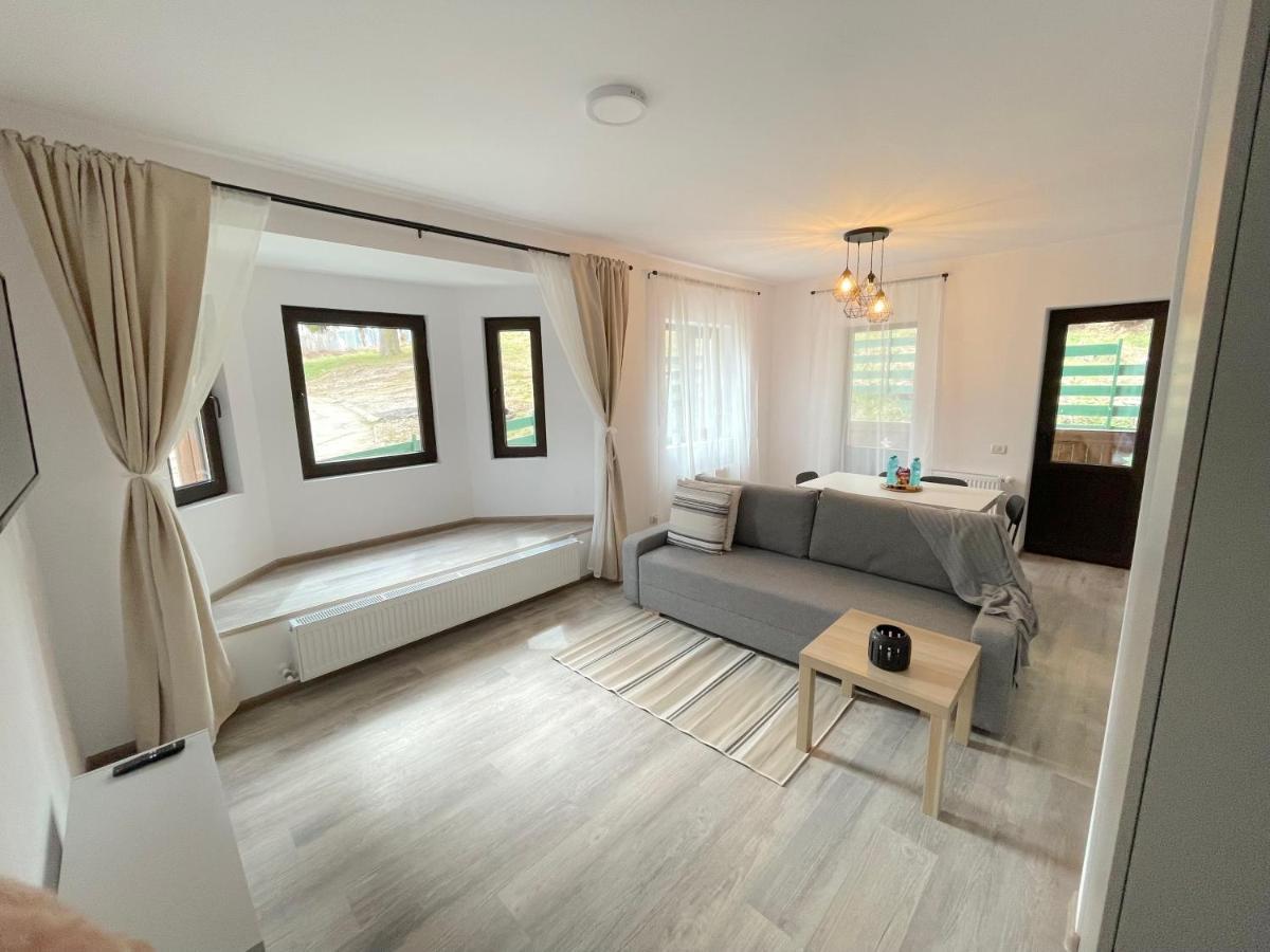 Cosy&Minimalistic Apartments - Haret Building シナヤ エクステリア 写真