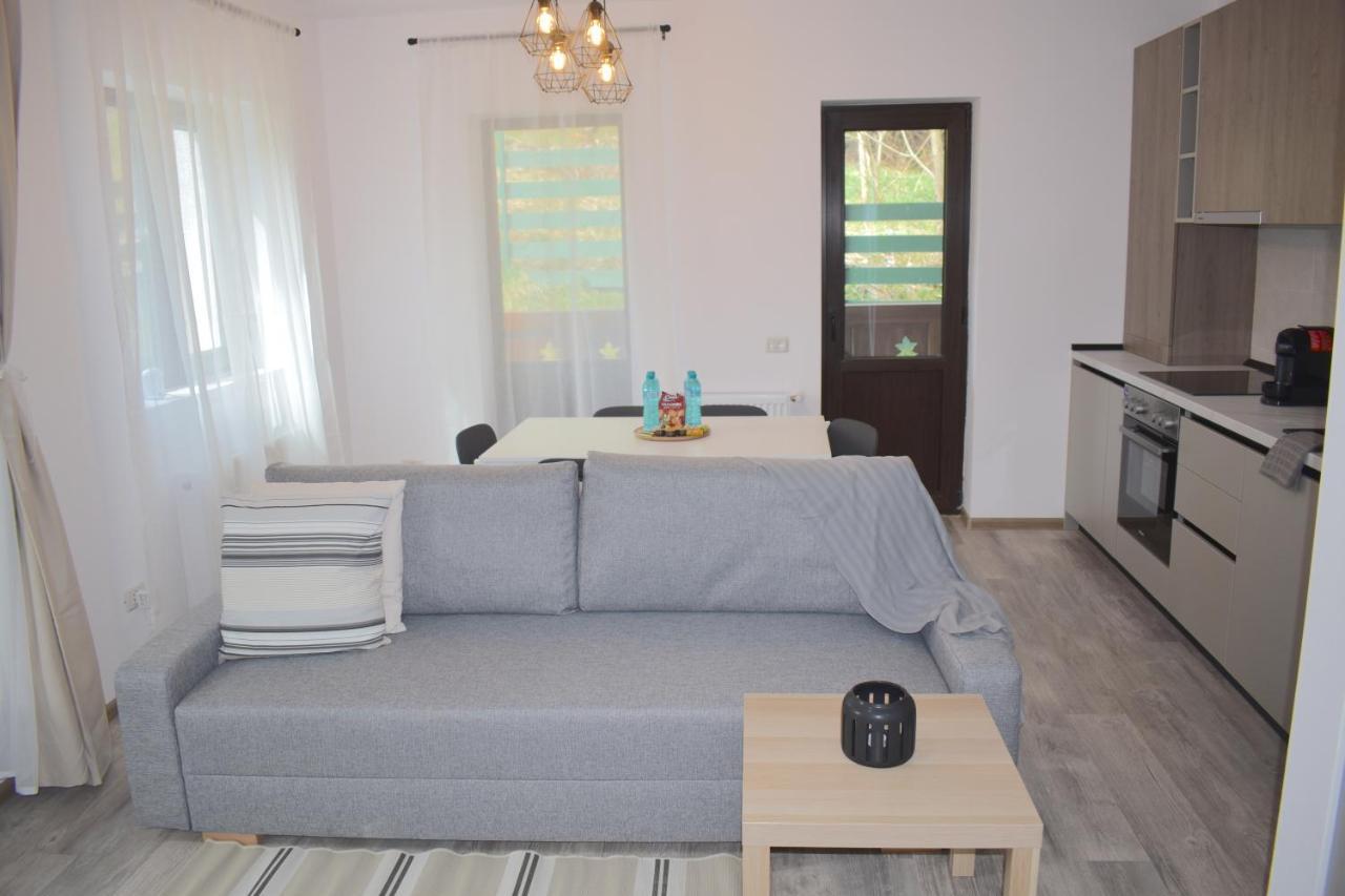 Cosy&Minimalistic Apartments - Haret Building シナヤ エクステリア 写真